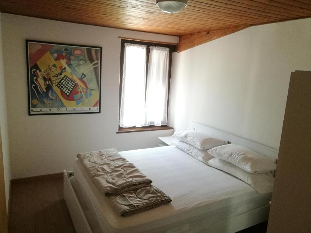 Casa Renzo - Dolomiti - Trentino Apartment Mezzano Luaran gambar